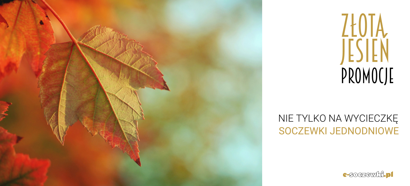 soczewki na jesień